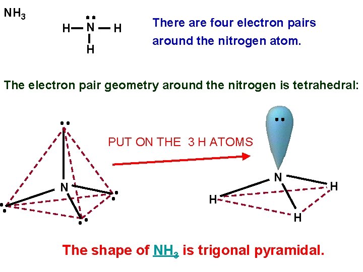 NH 3 H N H H There are four electron pairs around the nitrogen