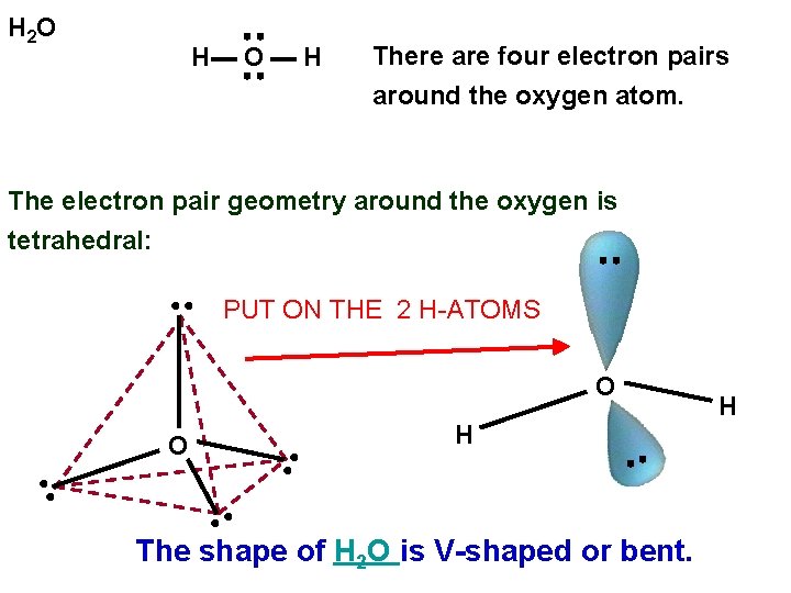 H 2 O H There are four electron pairs around the oxygen atom. The