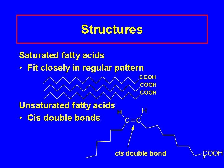 Structures Saturated fatty acids • Fit closely in regular pattern Unsaturated fatty acids •