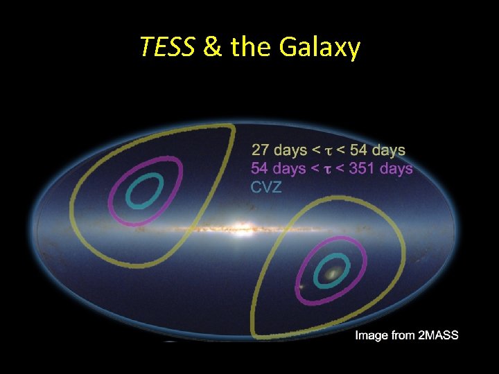 TESS & the Galaxy 