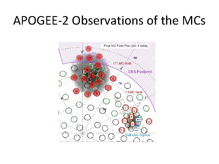 APOGEE-2 Observations of the MCs 