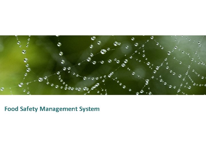 Food Safety Management System 