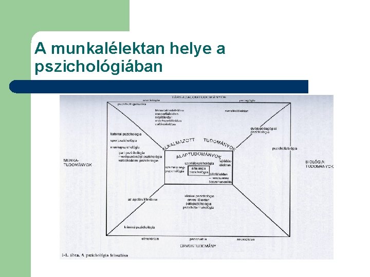 A munkalélektan helye a pszichológiában 