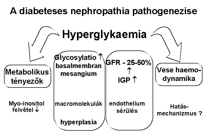 diabeteses nephropathia stádiumai