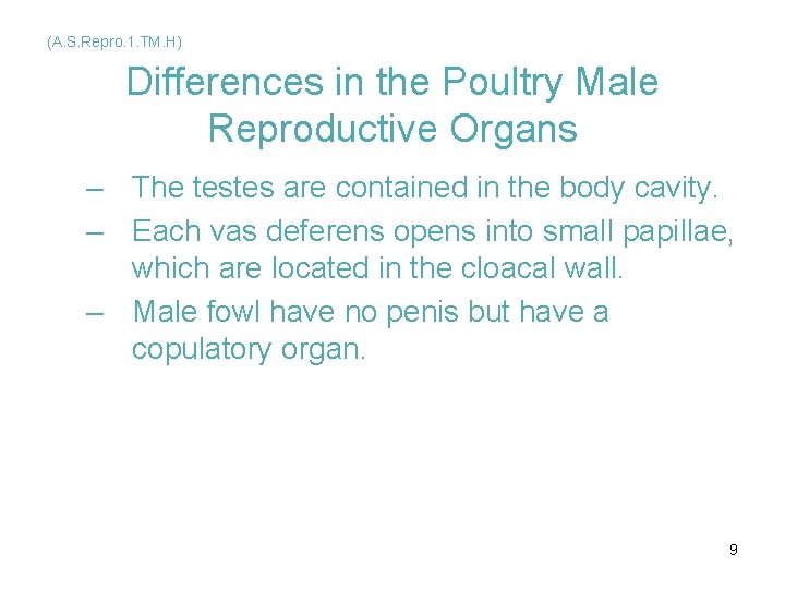 (A. S. Repro. 1. TM. H) Differences in the Poultry Male Reproductive Organs – (A. S. Repro. 1. TM. H) Differences in the Poultry Male Reproductive Organs –