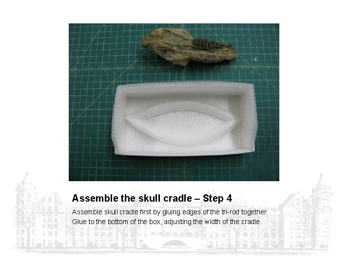 Assemble the skull cradle – Step 4 Assemble skull cradle first by gluing edges