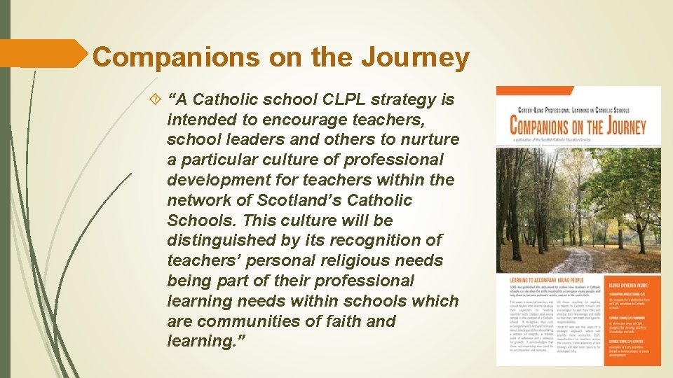 Companions on the Journey “A Catholic school CLPL strategy is intended to encourage teachers,