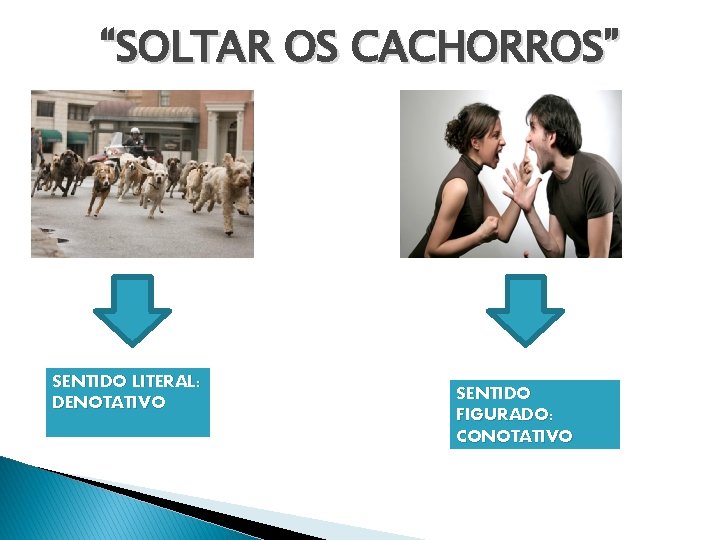 “SOLTAR OS CACHORROS” SENTIDO LITERAL: DENOTATIVO SENTIDO FIGURADO: CONOTATIVO 