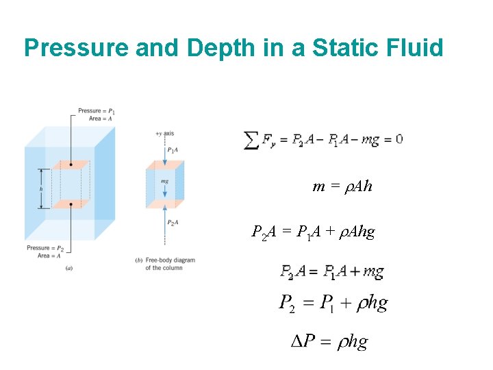 Pressure and Depth in a Static Fluid m = r. Ah P 2 A