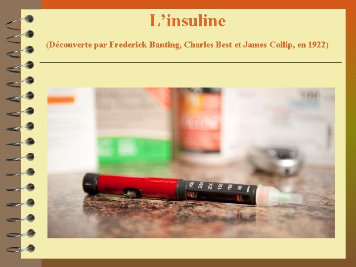 L’insuline (Découverte par Frederick Banting, Charles Best et James Collip, en 1922) 