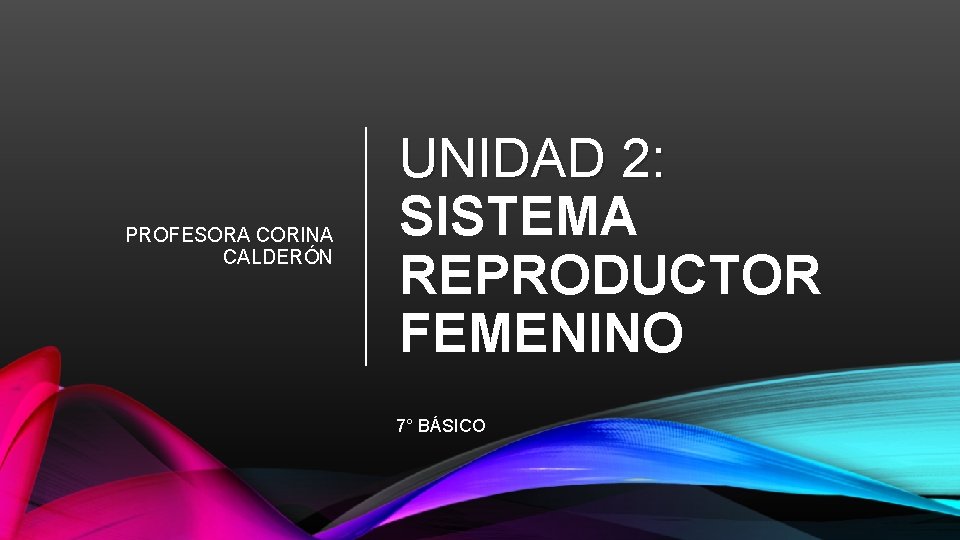 PROFESORA CORINA CALDERÓN UNIDAD 2: SISTEMA REPRODUCTOR FEMENINO 7° BÁSICO 