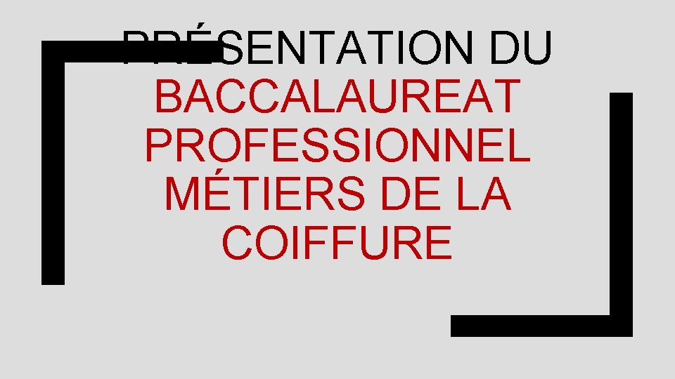 PRÉSENTATION DU BACCALAUREAT PROFESSIONNEL MÉTIERS DE LA COIFFURE 