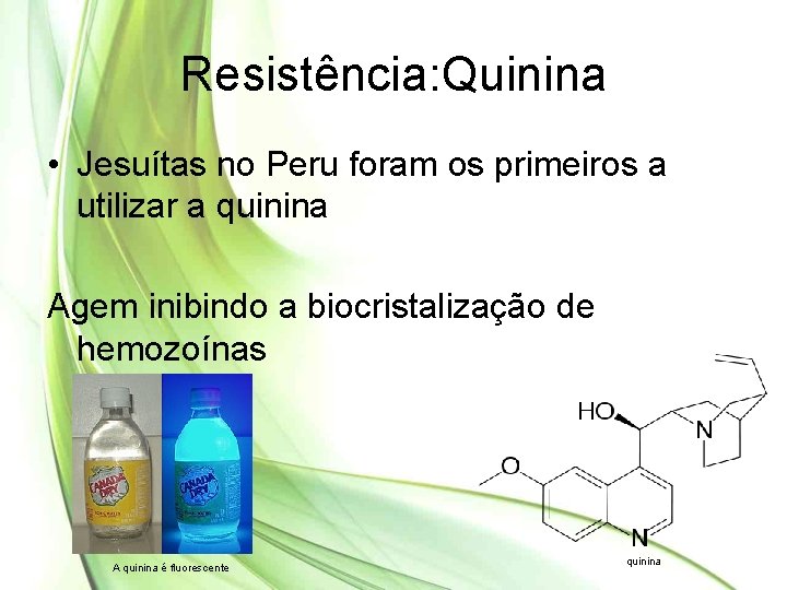 Resistência: Quinina • Jesuítas no Peru foram os primeiros a utilizar a quinina Agem