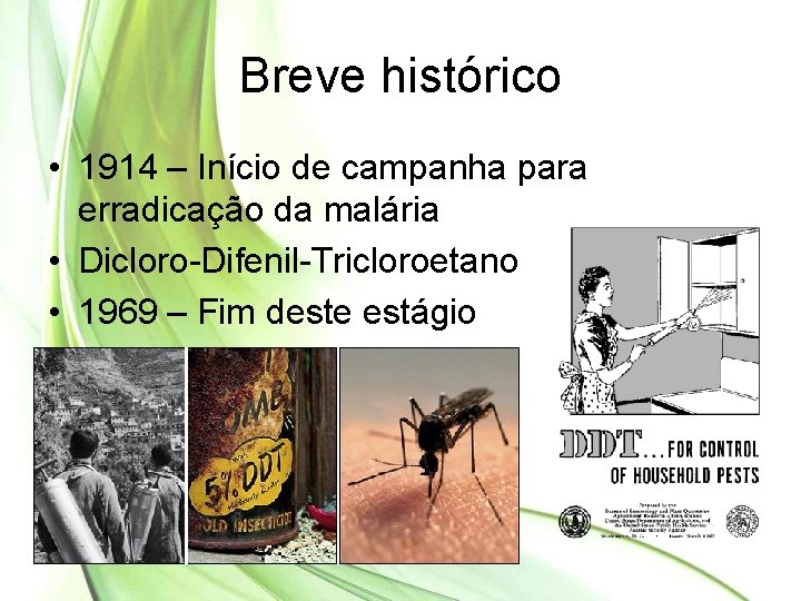 Breve histórico • 1914 – Início de campanha para erradicação da malária • Dicloro-Difenil-Tricloroetano