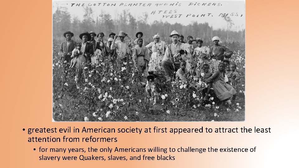  • greatest evil in American society at first appeared to attract the least