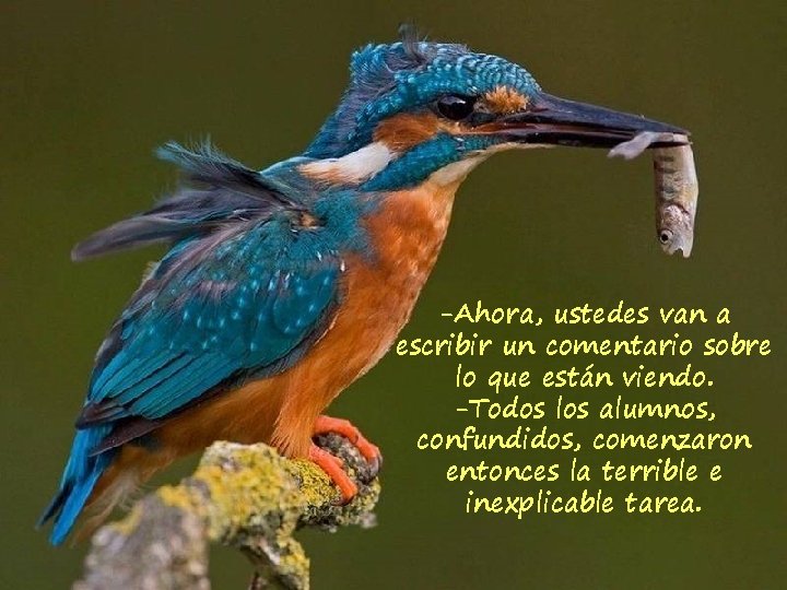 -Ahora, ustedes van a escribir un comentario sobre lo que están viendo. -Todos los