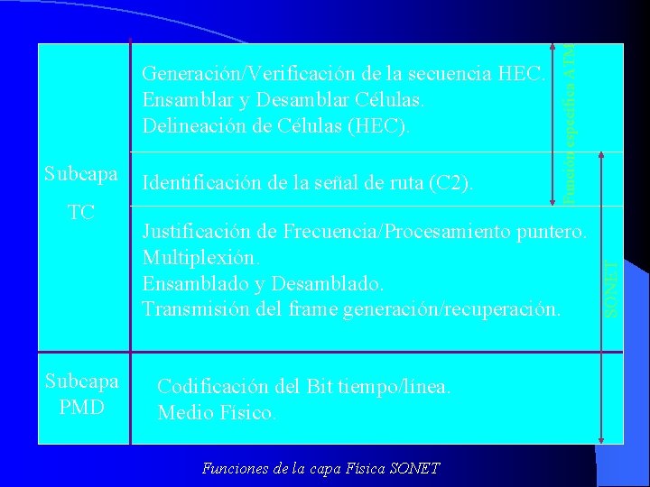 TC Subcapa PMD Identificación de la señal de ruta (C 2). Justificación de Frecuencia/Procesamiento