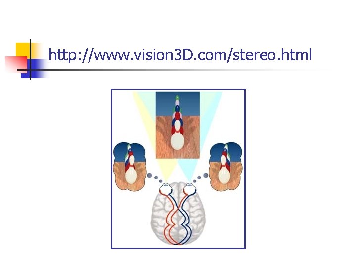http: //www. vision 3 D. com/stereo. html 