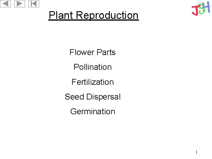 Plant Reproduction Flower Parts Pollination Fertilization Seed Dispersal Germination 1 