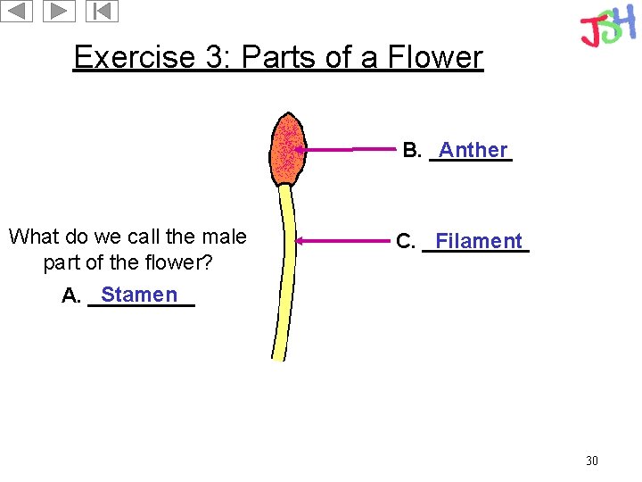 Exercise 3: Parts of a Flower B. _______ Anther What do we call the