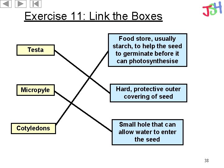 Exercise 11: Link the Boxes Testa Food store, usually starch, to help the seed