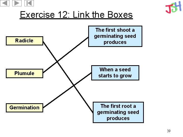 Exercise 12: Link the Boxes Radicle The first shoot a germinating seed produces Plumule