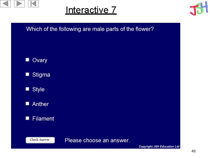 Interactive 7 46 