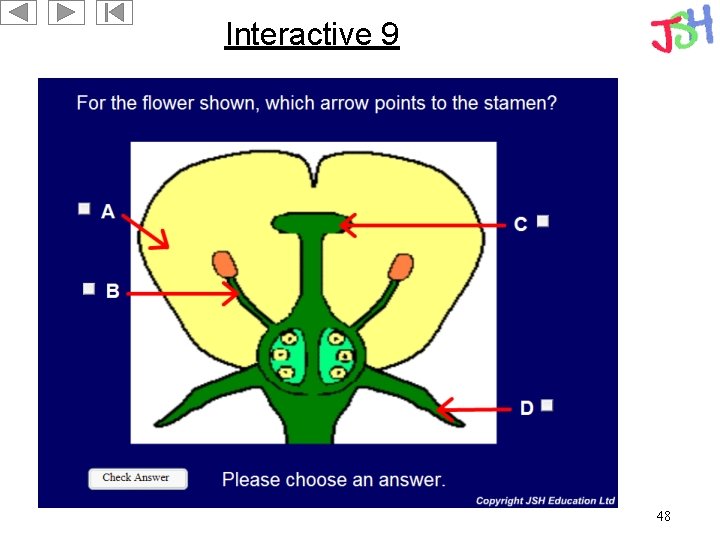 Interactive 9 48 