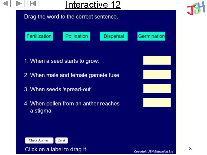 Interactive 12 51 