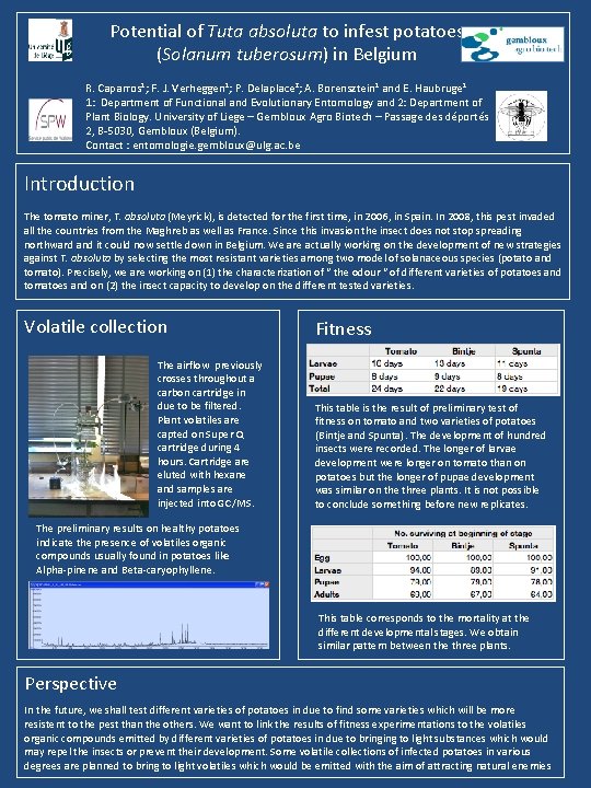 Potential of Tuta absoluta to infest potatoes (Solanum tuberosum) in Belgium R. Caparros 1;