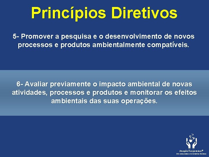 Princípios Diretivos 5 - Promover a pesquisa e o desenvolvimento de novos processos e