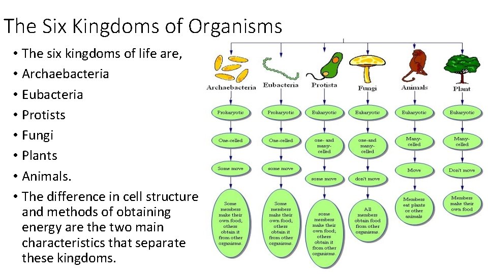 The Six Kingdoms of Organisms • The six kingdoms of life are, • Archaebacteria