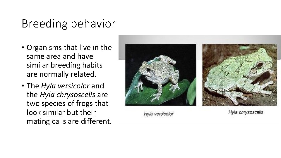 Breeding behavior • Organisms that live in the same area and have similar breeding