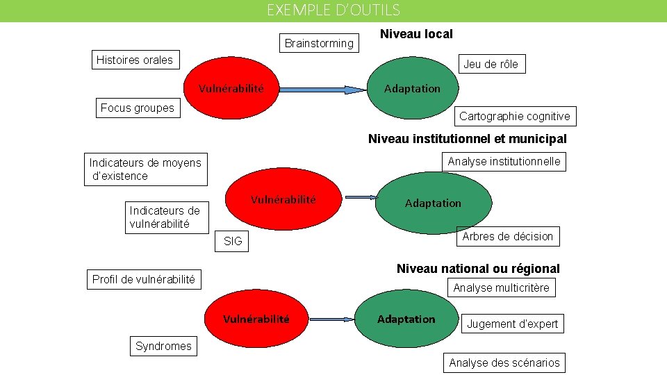 EXEMPLE D’OUTILS Brainstorming Niveau local Histoires orales Jeu de rôle Vulnérabilité Adaptation Focus groupes