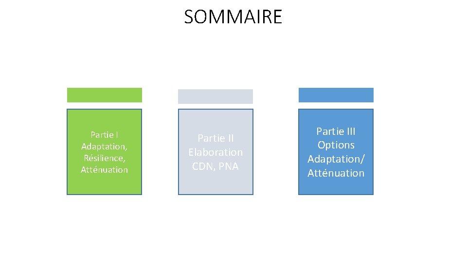 SOMMAIRE Partie I Adaptation, Résilience, Atténuation Partie II Elaboration CDN, PNA Partie III Options