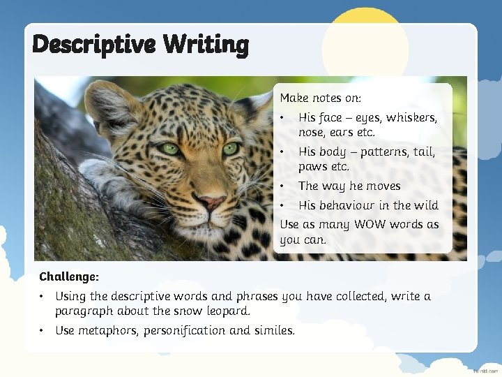 Descriptive Writing Make notes on: • His face – eyes, whiskers, nose, ears etc.
