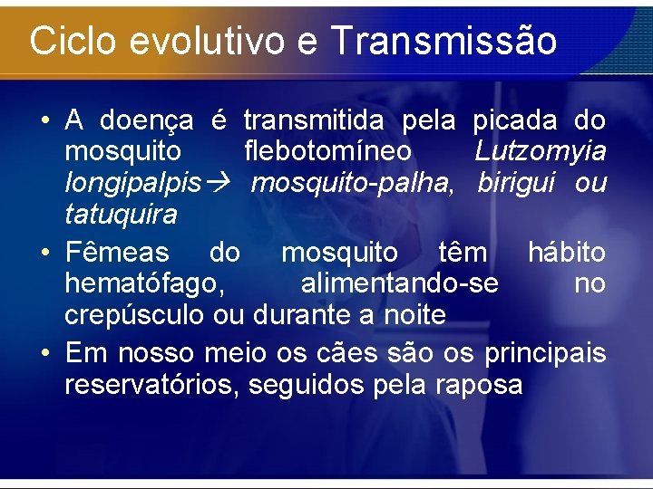 Ciclo evolutivo e Transmissão • A doença é transmitida pela picada do mosquito flebotomíneo