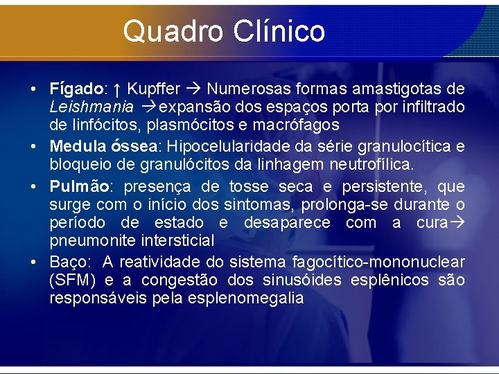 Quadro Clínico • Fígado: ↑ Kupffer Numerosas formas amastigotas de Leishmania expansão dos espaços