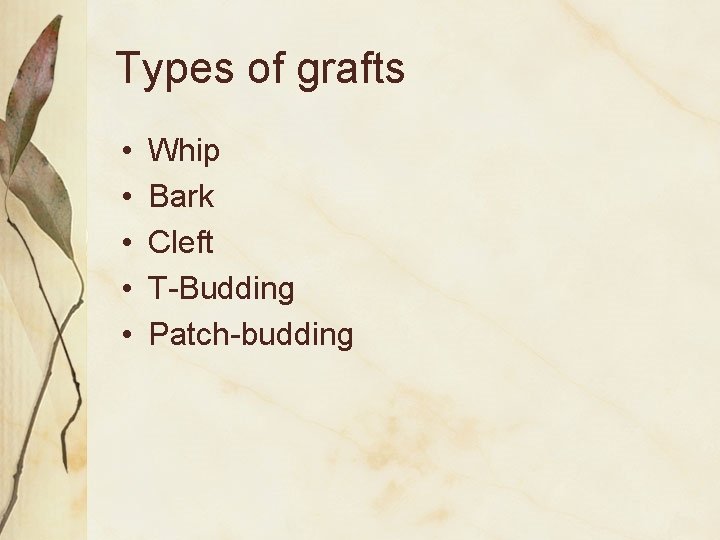 Types of grafts • • • Whip Bark Cleft T-Budding Patch-budding 