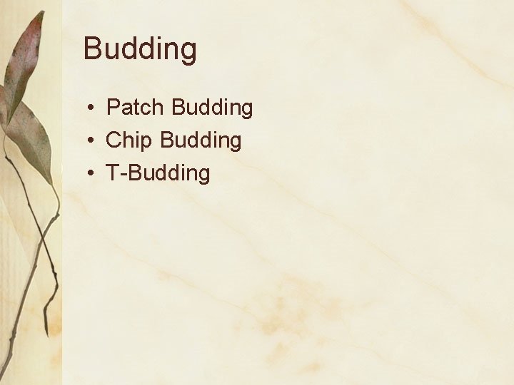 Budding • Patch Budding • Chip Budding • T-Budding 