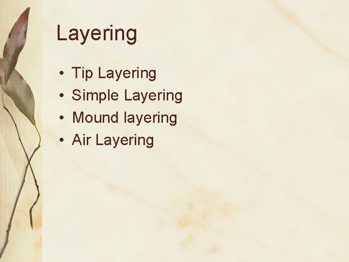 Layering • • Tip Layering Simple Layering Mound layering Air Layering 