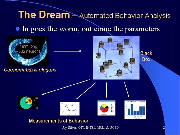 The Dream – Automated Behavior Analysis l In goes the worm, out come the