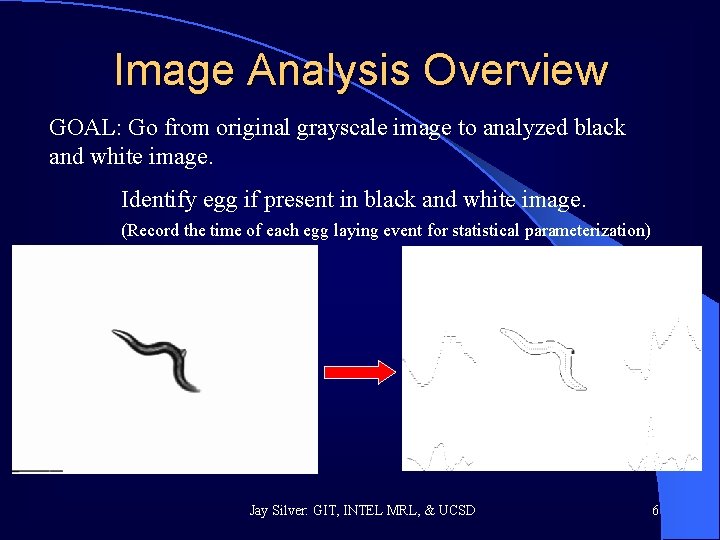 Image Analysis Overview GOAL: Go from original grayscale image to analyzed black and white