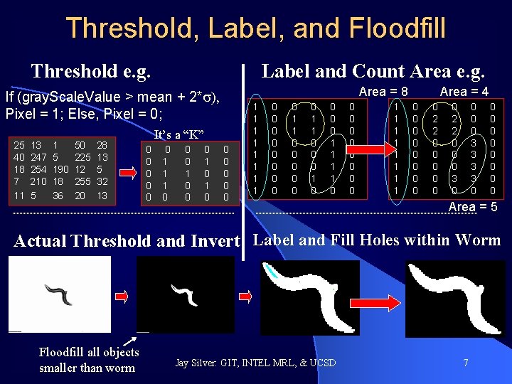 Threshold, Label, and Floodfill Threshold e. g. Label and Count Area e. g. Area