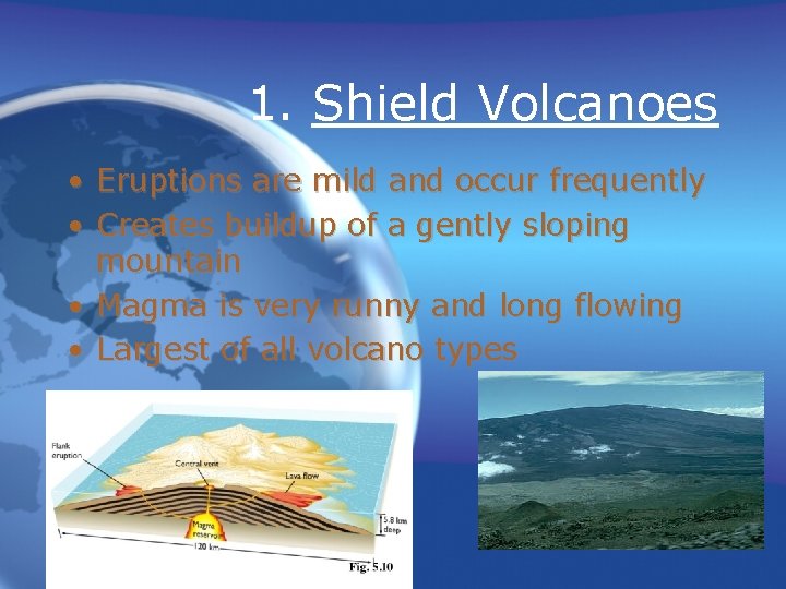 1. Shield Volcanoes • • Eruptions are mild and occur frequently Creates buildup of