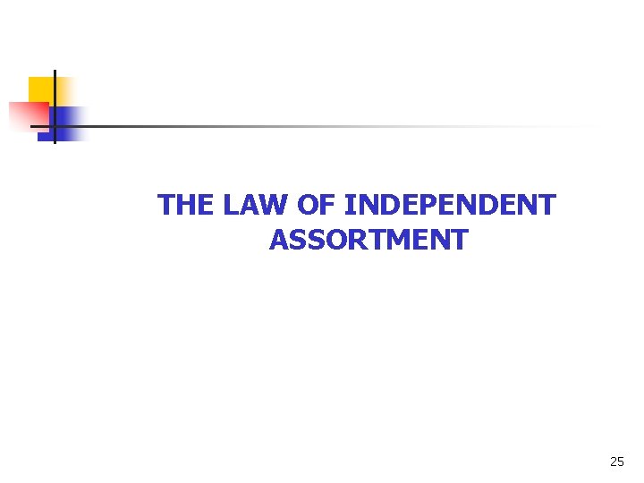 THE LAW OF INDEPENDENT ASSORTMENT 25 THE LAW OF INDEPENDENT ASSORTMENT 25