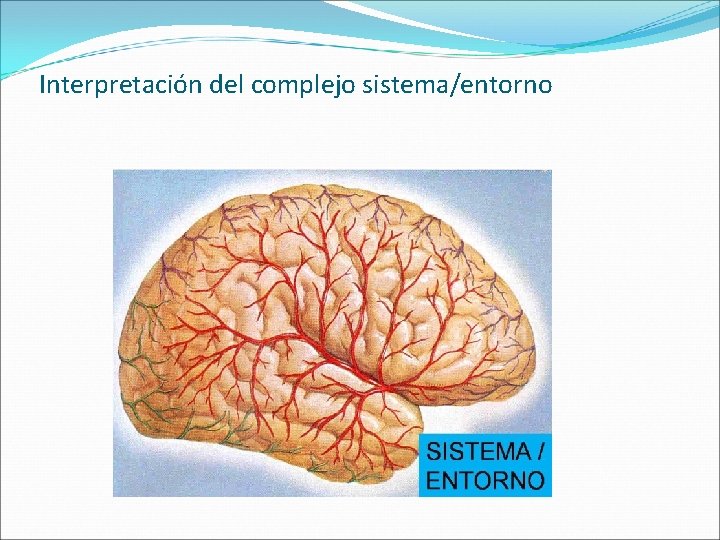 Interpretación del complejo sistema/entorno 