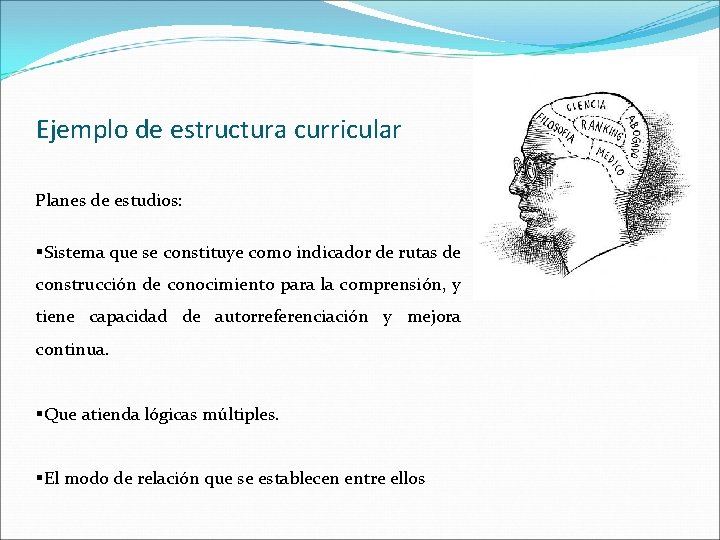 Ejemplo de estructura curricular Planes de estudios: §Sistema que se constituye como indicador de