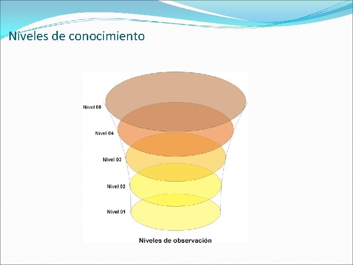 Niveles de conocimiento 