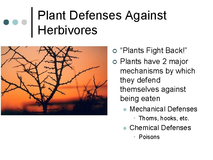 Plant Defenses Against Herbivores ¢ ¢ “Plants Fight Back!” Plants have 2 major mechanisms Plant Defenses Against Herbivores ¢ ¢ “Plants Fight Back!” Plants have 2 major mechanisms